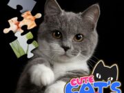 CUTE CATS JIGSAW PUZZLE